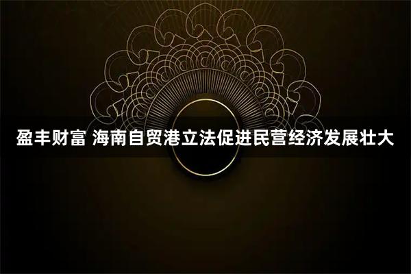 盈丰财富 海南自贸港立法促进民营经济发展壮大